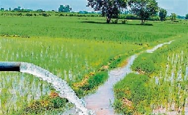 *1750 राजकीय नलकूपों का पुनर्निर्माण कर बनाया जाएगा ईको फ्रैंडली, ढाई लाख कृषक परिवारों को सीधा लाभ*