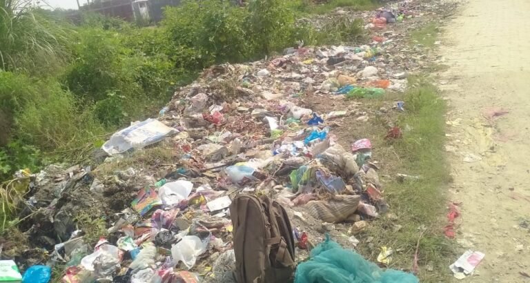 नौगढ़ में ‘जुगाड़’ का जादू: सफाईकर्मी बने ड्राइवर, बाबू और VIP सेवक, गांवों में पसरी गंदगी की चादर!