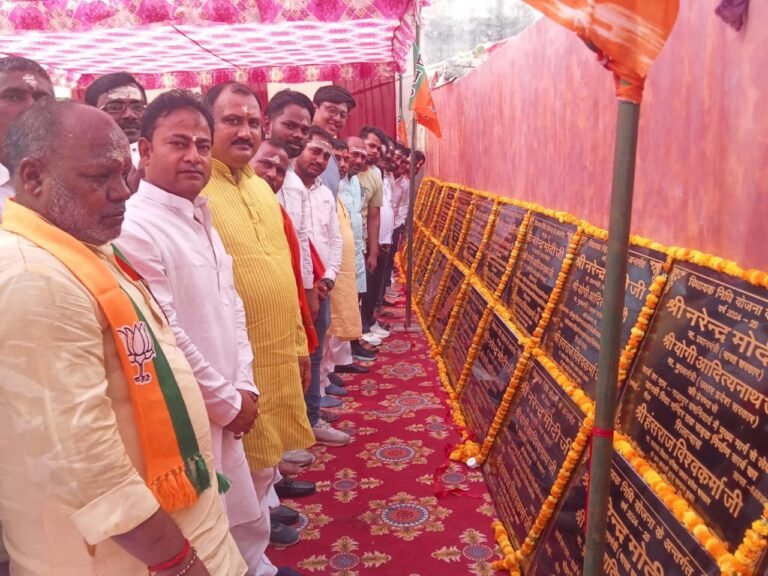 एमएलसी/भाजपा जिलाध्यक्ष हंसराज विश्वकर्मा ने विभिन्न विकास कार्यों का किया शिलान्यास