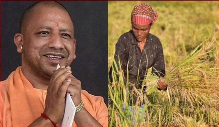 सोना उगाने वाले किसानों को समृद्ध कर रही योगी सरकार