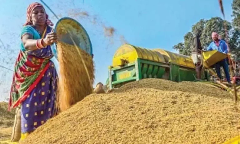 *किसानों की मेहनत और योगी सरकार की कृषि नीति से  वाराणसी मंडल में रिकॉर्ड धान की खरीद*