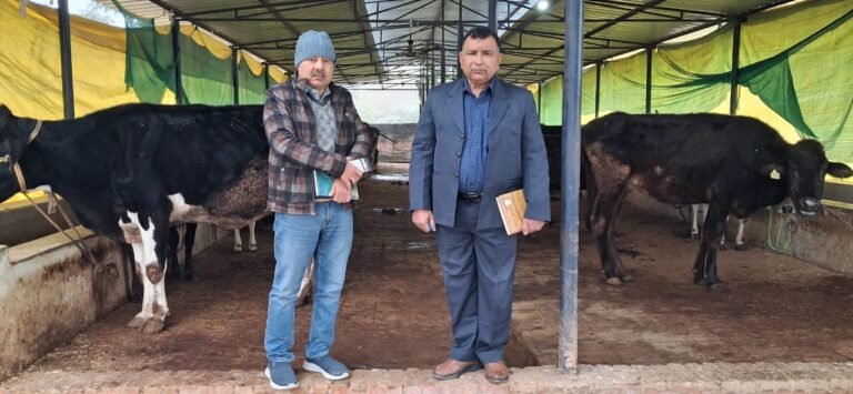 बेजुबान,बेसहारा गोवंशों को योगी सरकार दे रही आश्रय,चारा ,चिकित्सा और सुरक्षा की पूरी व्यवस्था