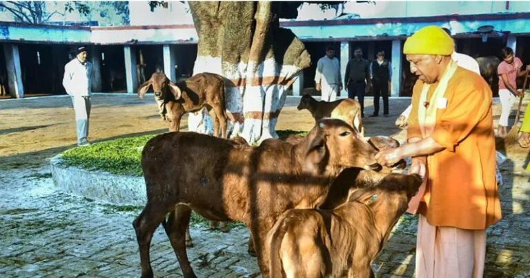 गोशालाएं बनेंगी अर्थव्यवस्था का ग्रोथ इंजन ‘पंचगव्य’ से यूपी में खड़ा होगा विशाल ऑर्गेनिक बाजार