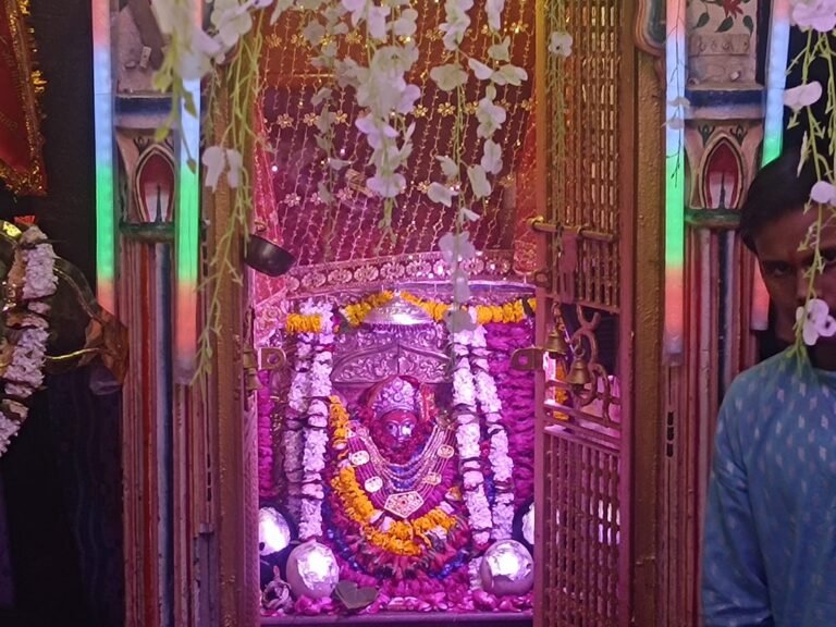 माँ शीतला का भव्य श्रृंगार संपन्न, बड़ी संख्या में श्रद्धालु हुए शामिल।